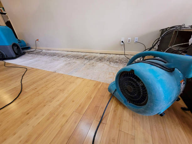Professional Water Removal technician working in Hardin, TX